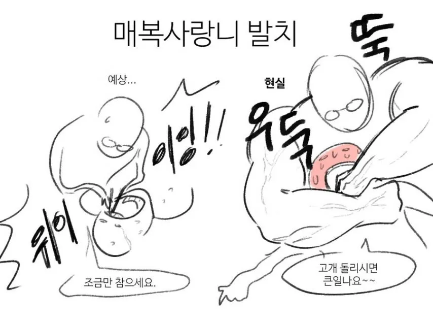 스포츠중계,무료스포츠중계,해외스포츠중계