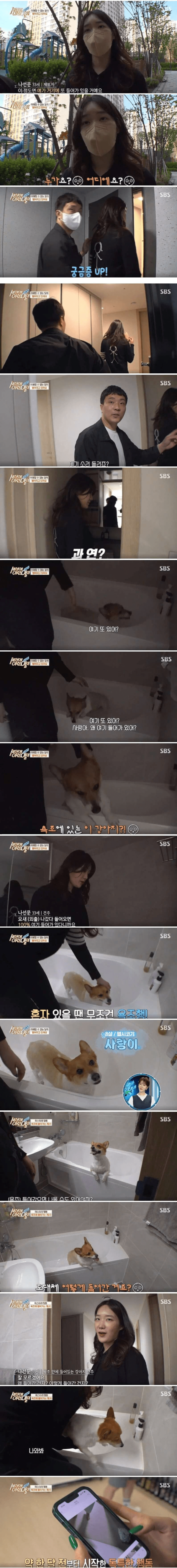 스포츠중계,무료스포츠중계,해외스포츠중계
