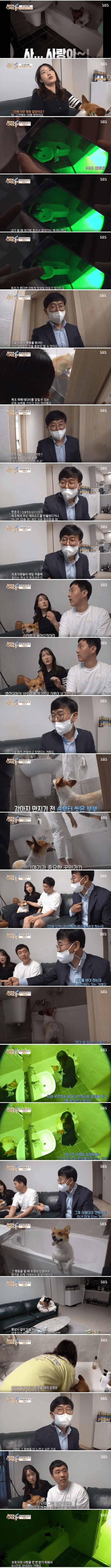 스포츠중계,무료스포츠중계,해외스포츠중계