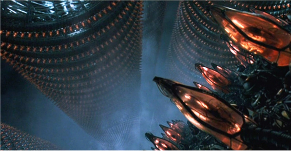 스포츠중계,무료스포츠중계,해외스포츠중계